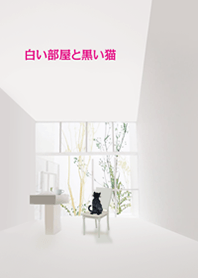 白色的房間和黑貓