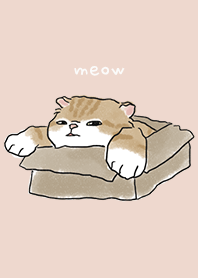 neko drawing2 / sea shell