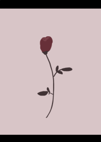 Chocolate rose