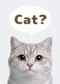 British Shorthair Simples 3 B/W 01