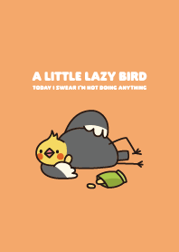 Lazy bird -Cockatiel2