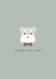 Schnauzer and ribbon -green-