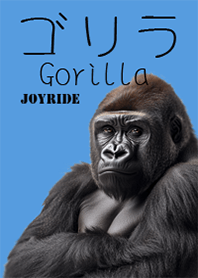 Gorilla2 Blue2