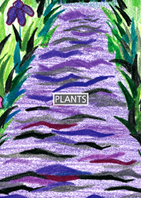 PLANT 013