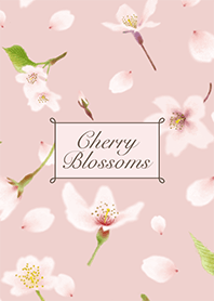 Cherry Blossoms -Pink -