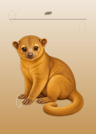 Kinkajou in Leaf Shadows
