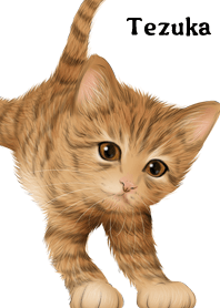 Tezuka Cute Tiger cat kitten