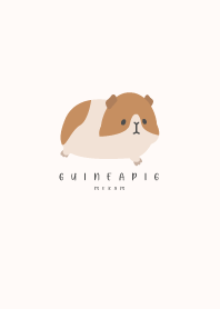 RUN GUINEA PIG-PINK BEIGE 17