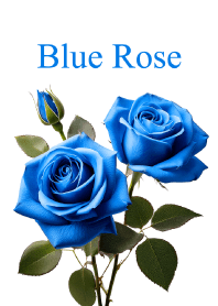 "Blue Rose vol.3" theme