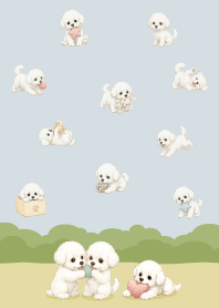 可愛快樂比熊犬-.棕色2