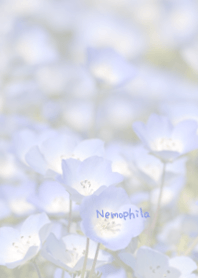Nemophila Theme 2