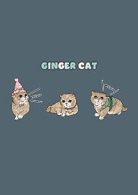gingercat8 / dark steel blue