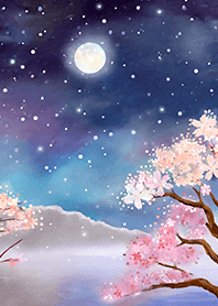 Beautiful night cherry blossoms#1796
