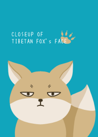CLOSEUP OF TIBETAN FOX's FACE/VIRIDIAN
