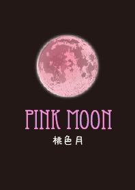 桃色月 Pink Moon
