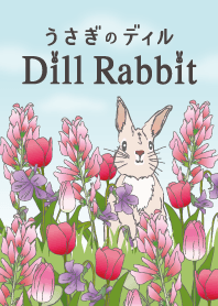 Dill Rabbit