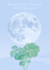 Real Lucky Clovers #Full Moon 6