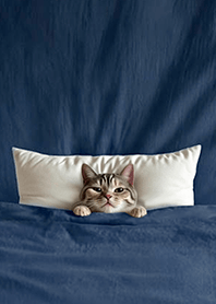 귀여운 퀼트 고양이2.6-사향고양이