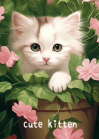 Cute kitten #11