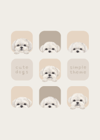 DOGS - Maltese Dog - BEIGE GRAY