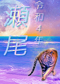 [Seo] FortuneMoonTiger2022