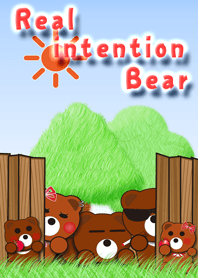 Real intention Bear Family assembly