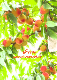 Peach's theme!!