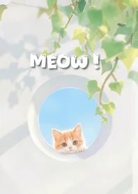 Meow Meow Cute Theme 32