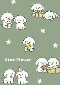 Pistachio Star Flower and Toy Poodle03_2