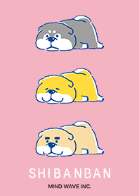 SHIBANBAN 3(revised)