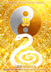 Golden Yin Yang and white snake 35