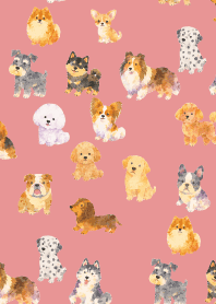 Is my dog here? 01 light pink JP