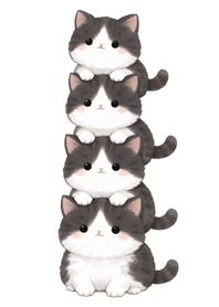 積みねこ｜ハチワレ癒し