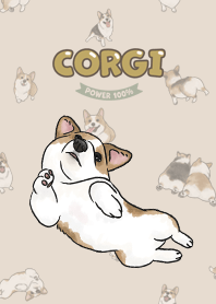 corgicorgi8 / almond