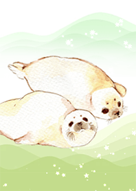 あざらし-Ystudio