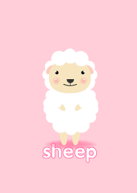 Simple cute white sheep theme