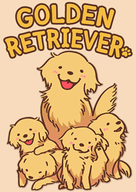 Fluffy Golden Retriever