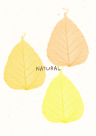 leaf yellow3 from Japan