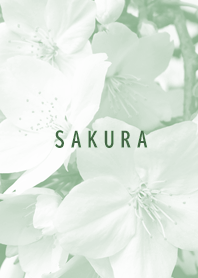 Sakura dull color green21_2
