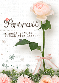 Rose portrait [French Rose Pink]