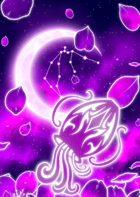 Purple Sakura Aquarius2025