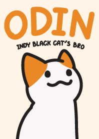 ODIN (Indy black cat's Bro)