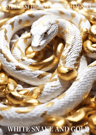 最高最強金運風水 白蛇と黄金　幸運の41