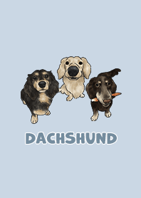dachshund5 / baby blue