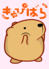 きゃぴばら