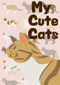 My Cute Cats ver4