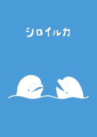 シロイルカ#cool