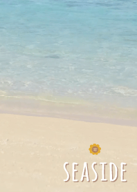 海濱 向日葵'摩卡棕'