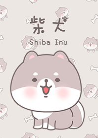 misty cat-Shiba Inu 10
