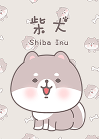 可愛寶貝白柴犬 2